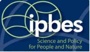 IPBES logo