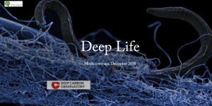 Presentation cover deep life