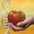 Joint Centre for Bioethics, University of Toronto 03 Nov 03 New research designed to help consumers create customized diets based on their genetic make up will create ethical and legal challenges […]