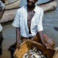 21 Aug 05 WorldFish Centre Calling fisheries critical for nourishing the poor and for helping Africa cope with the health, economic and social devastation of problems like HIV and AIDS, […]