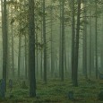 University of Helsinki 29 Nov 07 European Union countries likely require an old ally – Mother Nature and her forests – to meet an ambitious post-Kyoto goal for cutting greenhouse […]