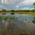 United Nations University 20-Jul-2008 700 leading experts convene at edge of Brazil’s vast Pantanal to take stock, offer policy prescription to remedy wetlands crisis Leading world scientists convene in Brazil […]