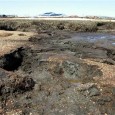 UN Convention to Combat Desertification, Bonn Food, water, energy crises, human tragedies in 2023-2025 detailed in sweeping analysis Fuelled by climate change and relentless pressure on land and water resources, […]
