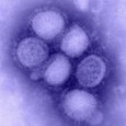 University of Toronto / Joint Center for Bioethics 23-Sep-2009 The anticipated onset of a second wave of the H1N1 influenza pandemic could present a host of thorny medical ethics issues best […]