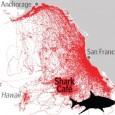 Census of Marine Life, Washington DC / Tagging of Pacific Palagics project, Pacific Grove, CA 22 June 2011 Decade of electronic tagging, tracking of 23 top Pacific Ocean predators reveals remarkable […]