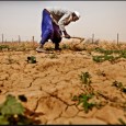 United Nations University,  Institute for Natural Resources in Africa Soil Infertility, Malnutrition at Root of Half of African Child Deaths Today; Needed to Bring Land Toward Full Food Potential: $100 […]