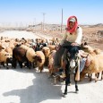 United Nations University, Institute for Water, Environment and Health, Hamilton, Canada 24-Sep-2013 UN-backed report, ‘Economics of Land Degradation,’ debuts at world desertification conference, Namibia Adopting proven sustainable land management practices […]