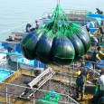 United Nations University – Institute for Water, Environment and Health, Hamilton, Canada Beyond sushi wrap: Expanding number of valuable uses drives astonishing growth of seaweed farming; Experts urge burgeoning industry […]