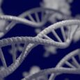Rockefeller University, New York Far from special: Humanity’s tiny DNA differences are ‘average’ in animal kingdom Paper offers new insights into evolution; as with humans, over 90 percent of animal […]