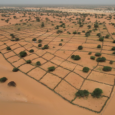 United Nations Convention to Combat Desertification (UNCCD), Bonn Humanity is “at a crossroads” when it comes to managing drought and accelerating mitigation must be done “urgently, using every tool we […]