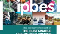 IPBES, Bonn 1 in 5 people rely on wild species for income & food; >10,000 wild species harvested for human food; 2.4 billion (1 in 3) depend on fuel wood […]