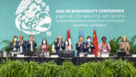 UN Convention on Biological Diversity, Montreal By 2030: Protect 30% of Earth’s lands, oceans, coastal areas, inland waters; Reduce by $500 billion annual harmful government subsidies; Cut food waste in […]