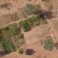 United Nations Convention to Combat Desertification, Bonn UNCCD launches ‘Global Drought Snapshot’ report at COP28 in collaboration with International Drought Resilience Alliance (IDRA) Recent drought-related data based on research in […]
