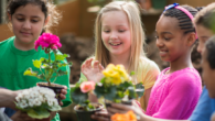 CDN Partnership for Children’s Health and Environment (CPCHE) / CDN Environmental Law Association On Healthy Environments for Learning Day, environmental and child health advocates cite growing concern about indoor air quality […]