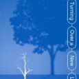 UN University Institute for the Environment and Human Security, Bonn Amid deepening inequalities and escalating crises, including climate change, biodiversity loss and pollution, a new United Nations report presents a […]
